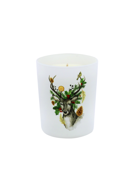 Bougie Traditions Enchantées 180 g Sapin